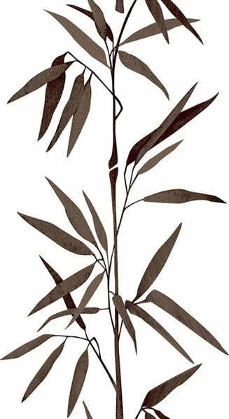 Panel POP.UP - Pflanze - Braun-weiß - 2,5 Meter 3 Panel POP.UP - Pflanze - Braun-weiß - 2,5 Meter