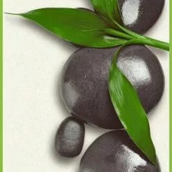 Panel POP.UP - Steine - Creme-grün - 2,5 Meter